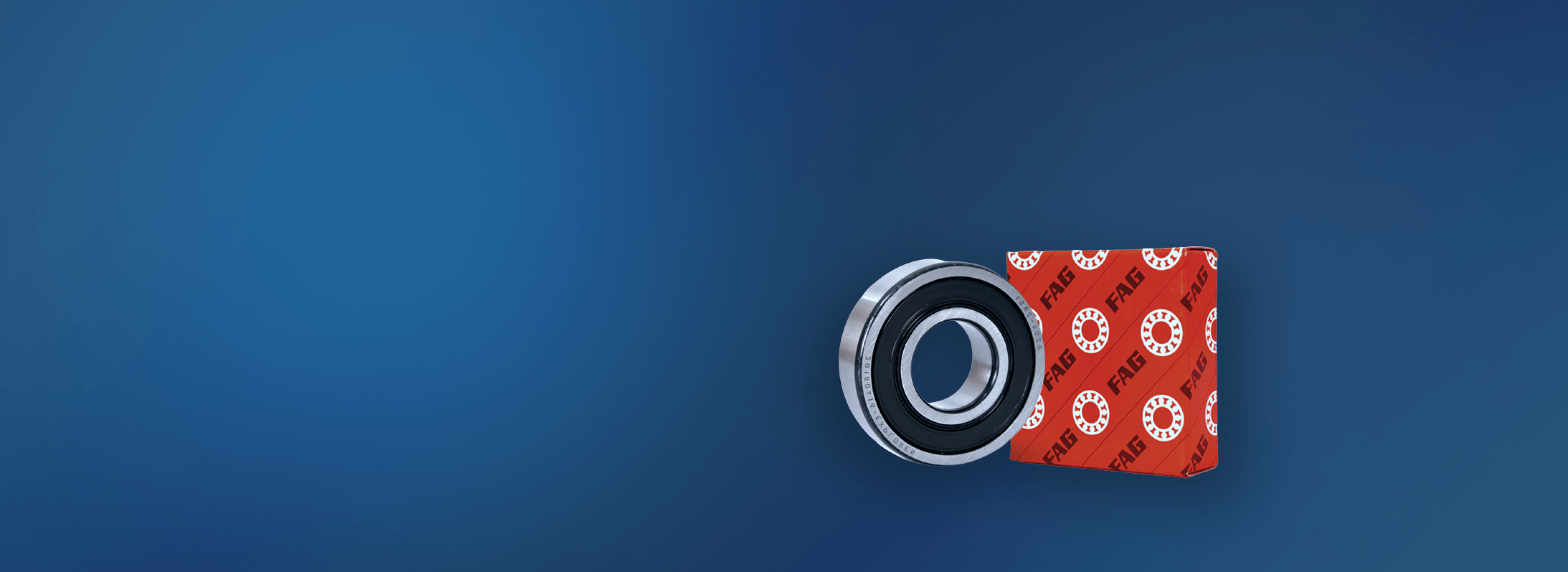 FAG Bearings