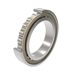 N1015-K-PVPA1-SP | Precision Cylindrical Roller Bearings
