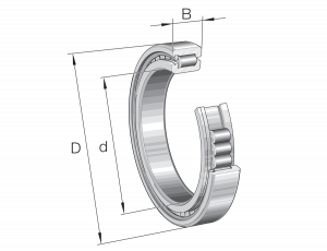 SL182992-TB | Precision Cylindrical Roller Bearings