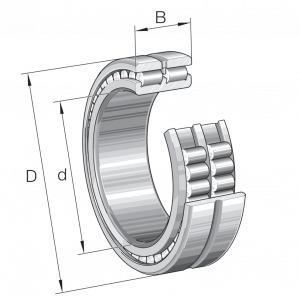 SL024996-A-C3 | Precision Cylindrical Roller Bearings
