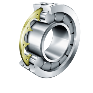 LSL192338-TB | Precision Cylindrical Roller Bearings