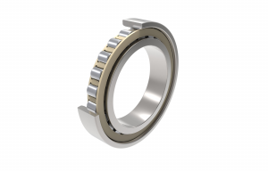 N1009-C-K-PVPA1-SP | Precision Cylindrical Roller Bearings