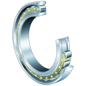 N1030-K-M1-SP | Precision Cylindrical Roller Bearings