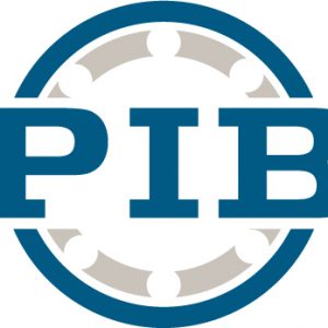 6010-TB-P6-C3 | Radial Ball Bearings