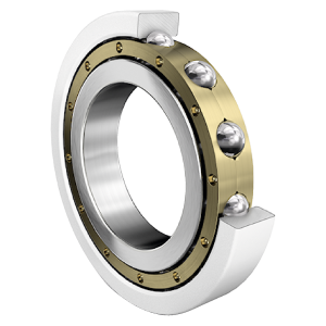 6218-M-J20AA-C3 | Radial Ball Bearings