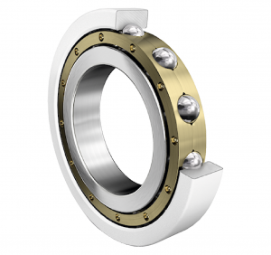 6218-M-J20AA-C4 | Radial Ball Bearings
