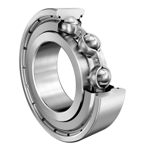 6005-2Z-L460 | Radial Ball Bearings
