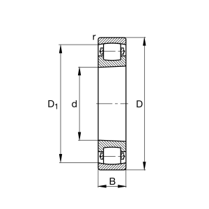 20204-TVP | Bearings