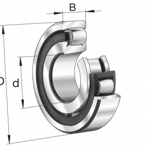 20210-K-TVP-C3 | Bearings