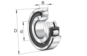 20213-K-TVP-C3 | Bearings
