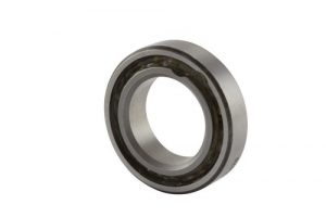 B541FS160 | Torque Tube Bearings